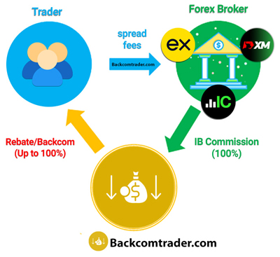 What Are Forex Rebates
